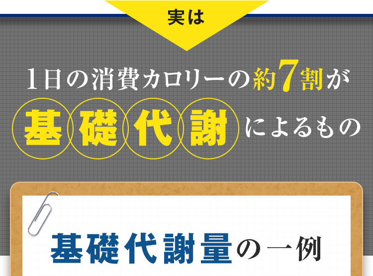 1日の消費カロリーの約7割が基礎代謝によるもの