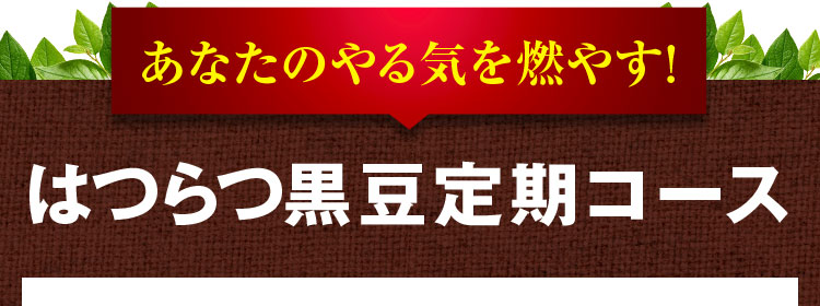 はつらつ黒豆定期コース