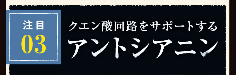 アントシアニン