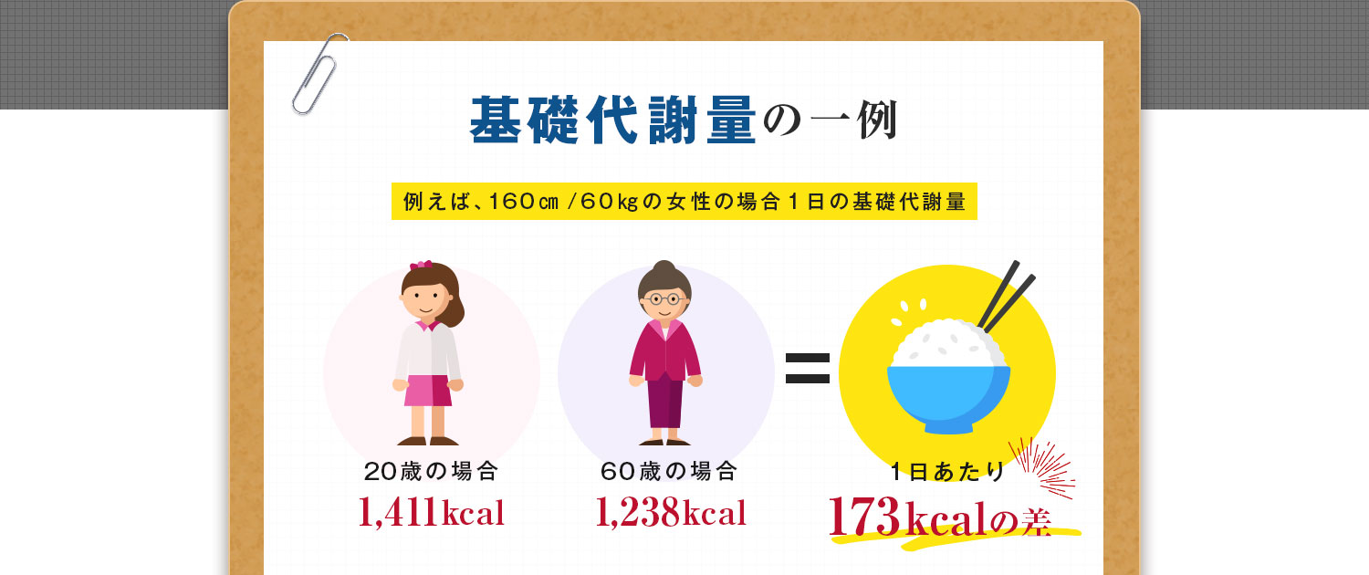 基礎代謝量の一例