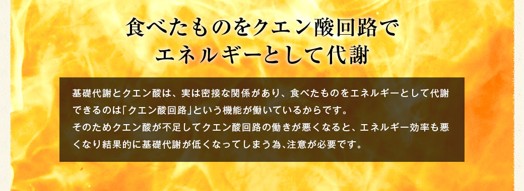 食べたものをクエン酸回路でエネルギーとして代謝