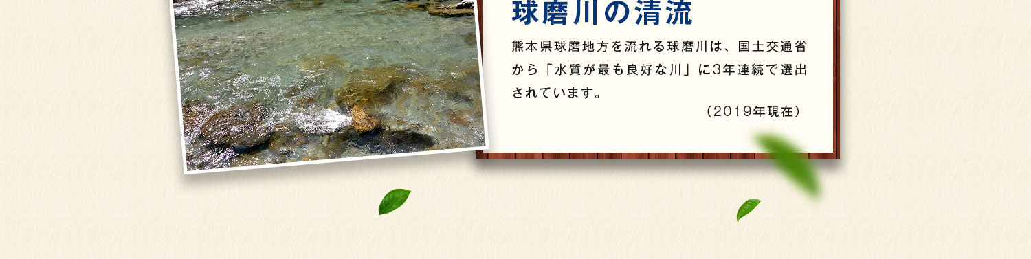 球磨川の清流