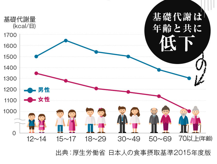 基礎代謝は年齢と共に低下