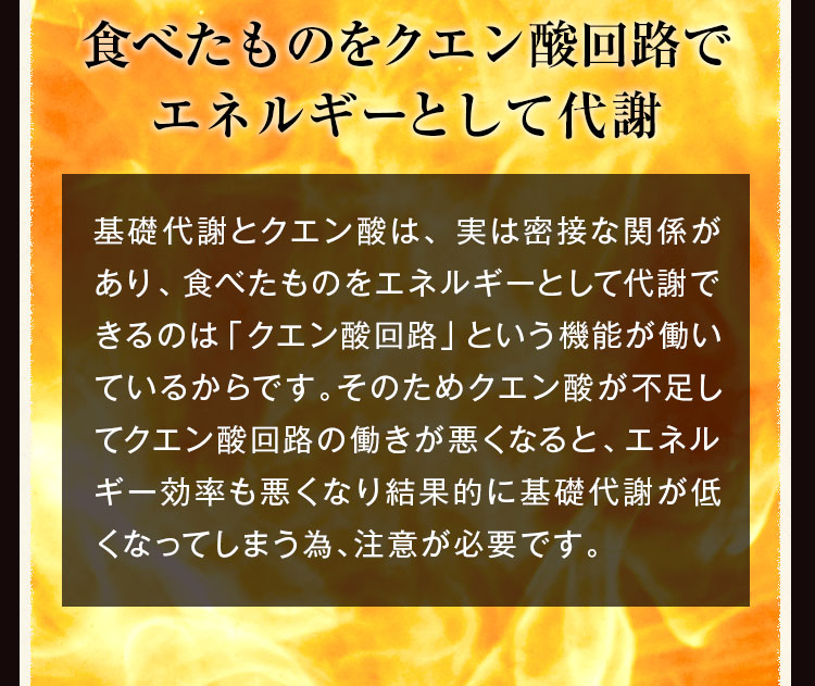エネルギーとして代謝