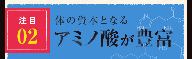 アミノ酸が豊富