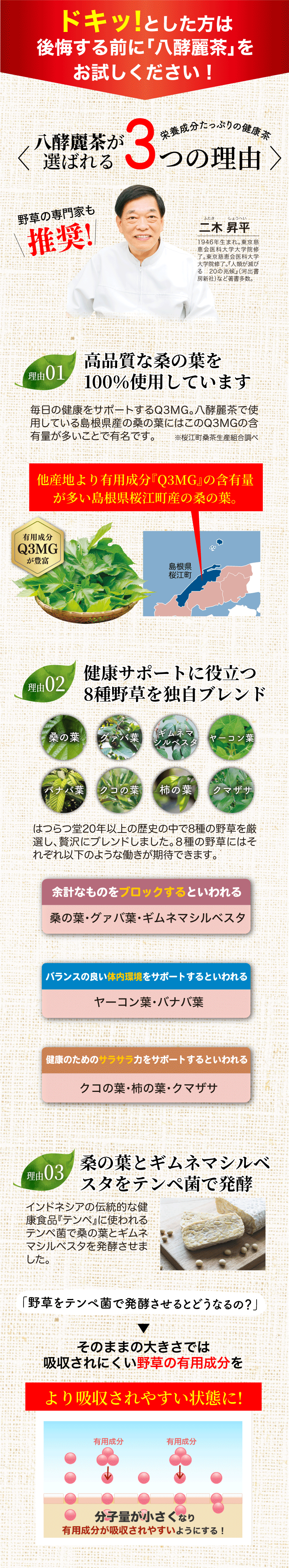 八酵麗茶 テンペ菌発酵茶 はつらつ堂 ⁄ 八酵麗茶(はっこうれいちゃ)