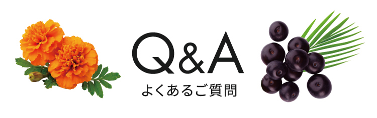 Q&Aよくある質問