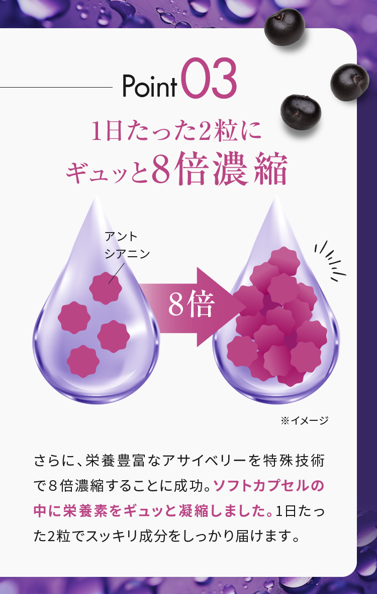 Point031日たった2粒にギュッと8倍濃縮