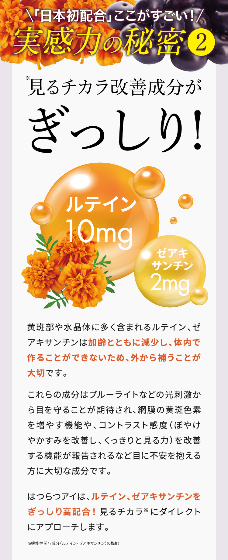 日本初配合ここがすごい！実感力の秘密2