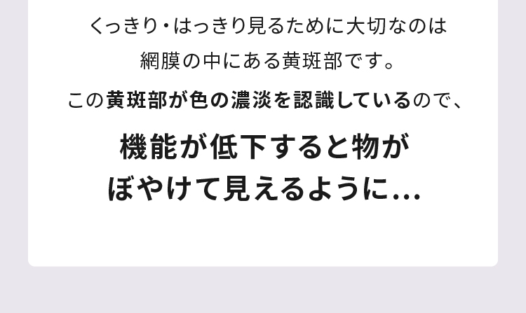 機能が低下すると物がぼやけて見えるように