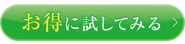 お得に試してみる