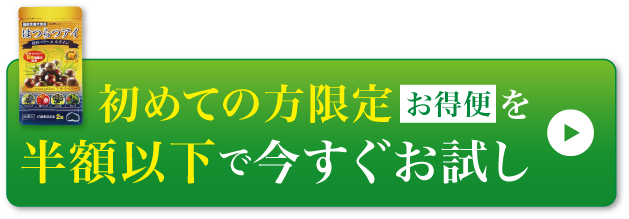 お得に試してみる