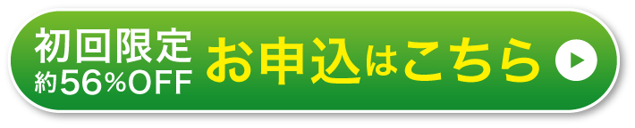 お得に試してみる
