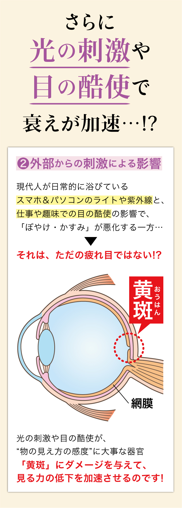 さらに光の刺激や目の酷使で衰えが加速