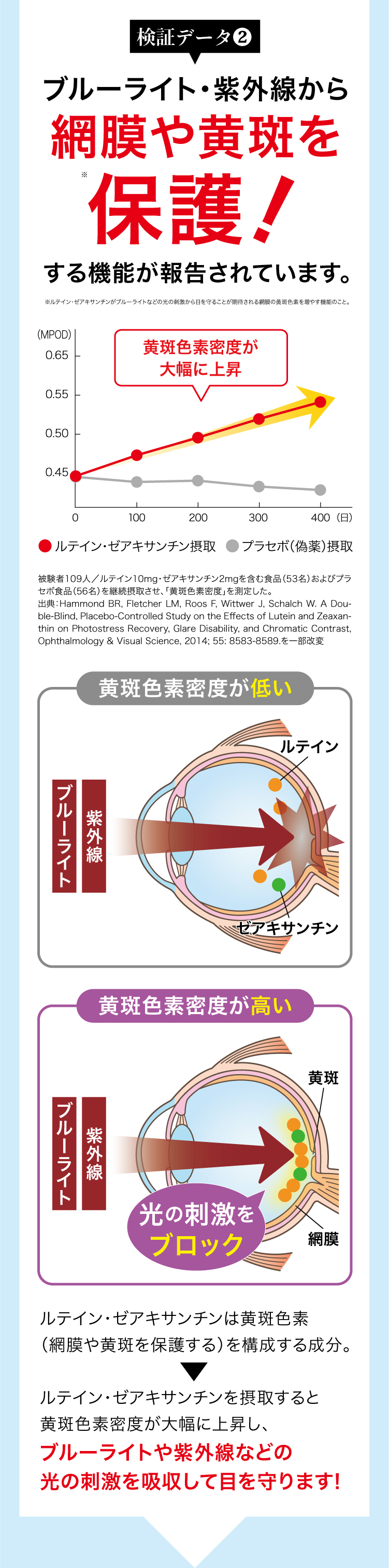 ブルーライト・紫外線から網膜や黄斑を保護