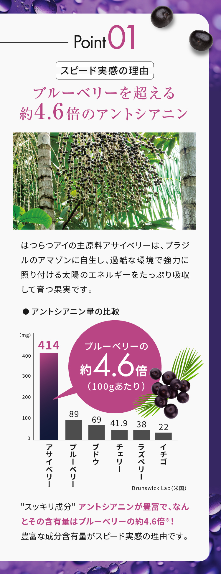 ブルーベリーを超える約4.6倍のアントシアニン