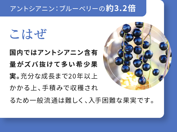 こはぜ