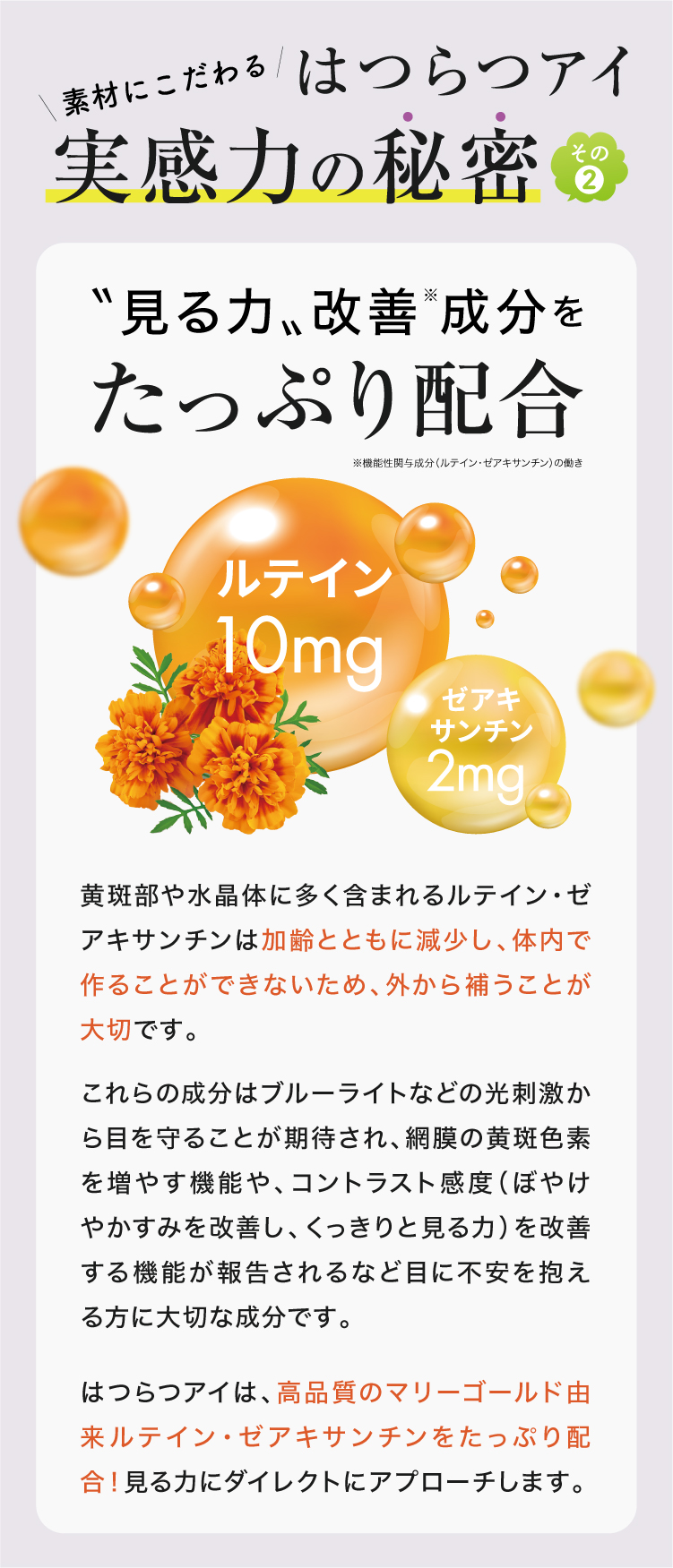 はつらつアイ実感力の秘密その2