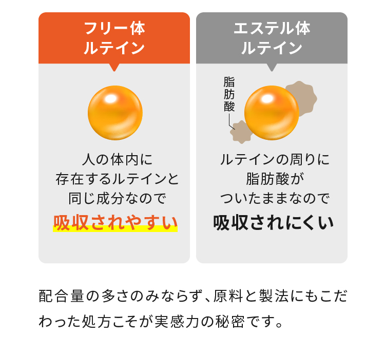 フリー体ルテイン 吸収されやすい エステル体ルテイン 吸収されにくい