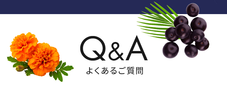Q&A よくあるご質問