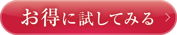 お得に試してみる