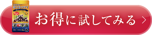 お得に試してみる
