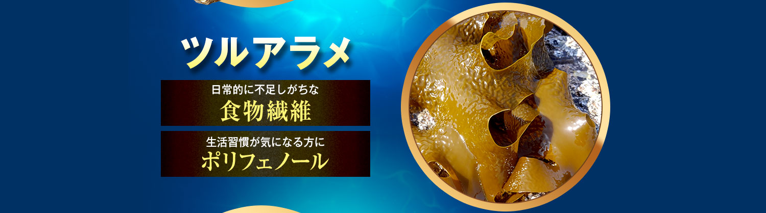 ツルアラメ