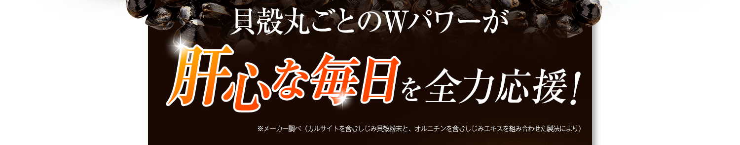 貝殻丸ごとのWパワーが肝心な毎日を全力応援
