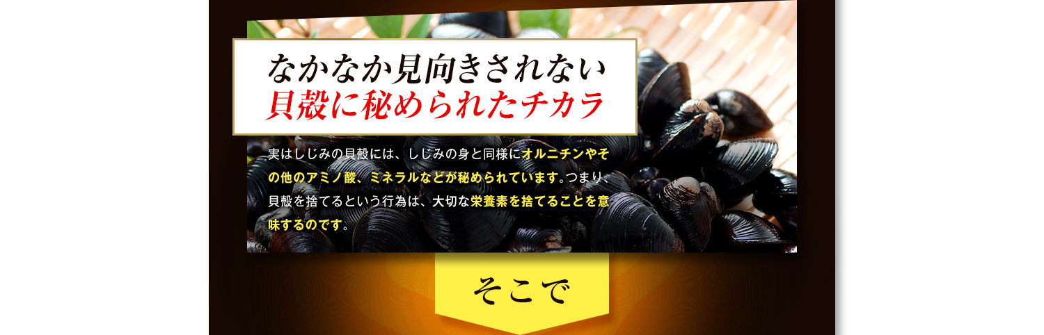 なかなか見向きされない貝殻に秘められたチカラ