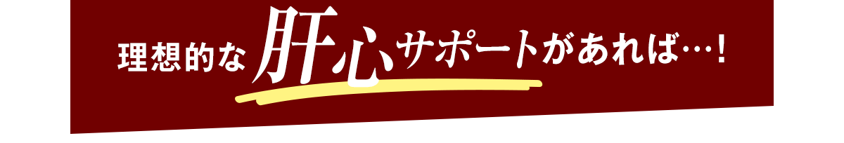 理想的な肝心サポートがあれば…！