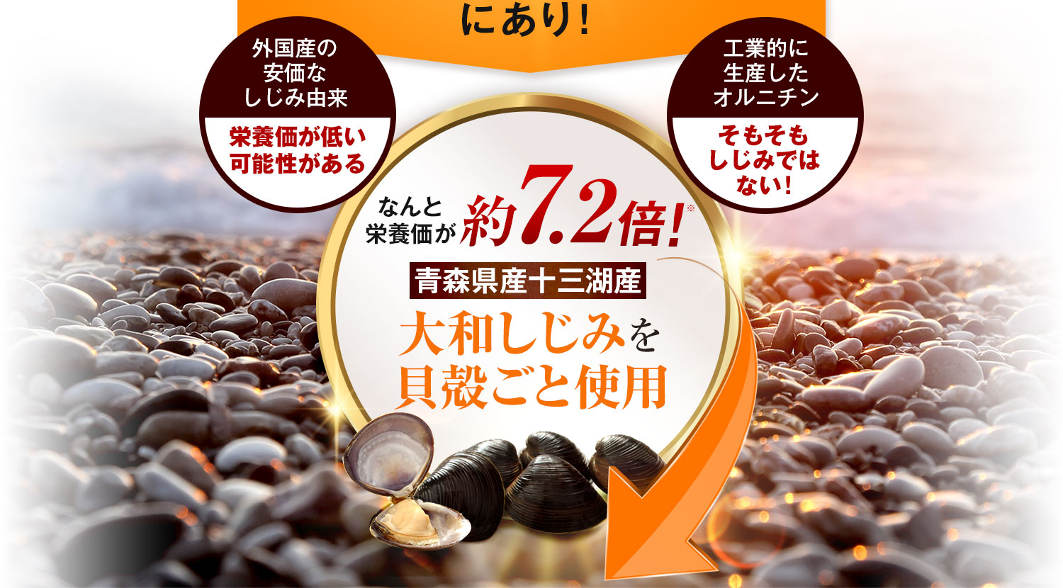 ヤマトシジミを貝殻ごと使用